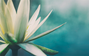 Es ist bereits so Bewusstsein als Ursprung Deiner Realität