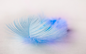 Leichtigkeit statt Kampf