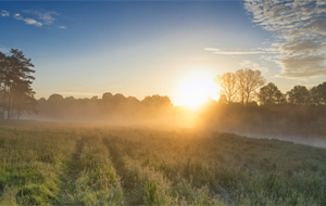 Die stille Macht der Gegenwart