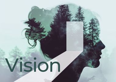 Vision