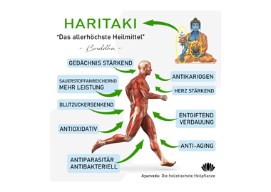 Haritaki und Verdauung