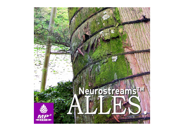 Neurostreams™ ALLES