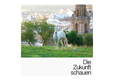 Neurostreams™ Die Zukunft schauen