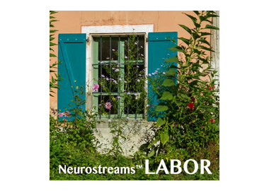 Neurostreams™ LABOR