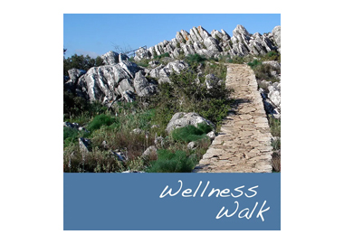 Neurostreams™ Wellness Walk