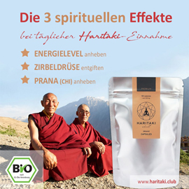 Haritaki - Die spirituellen Wirkungen Haritaki - Die spirituellen Wirkungen