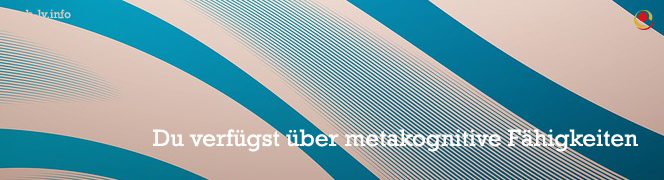 Du verfügst über metakognitive Fähigkeiten Du verfügst über metakognitive Fähigkeiten