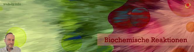 Biochemische Reaktionen Biochemische Reaktionen