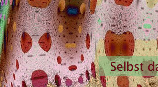 Selbst daran glauben