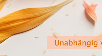Unabhängig von der Wahl