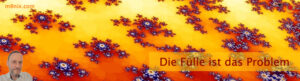 Die Fülle ist das Problem