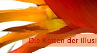 Die Ketten der Illusion sprengen