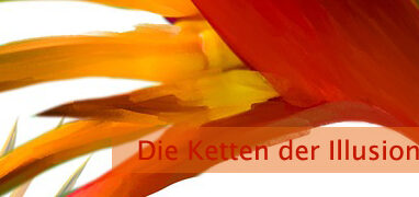 Die Ketten der Illusion sprengen