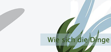 Wie sich die Dinge darstellen
