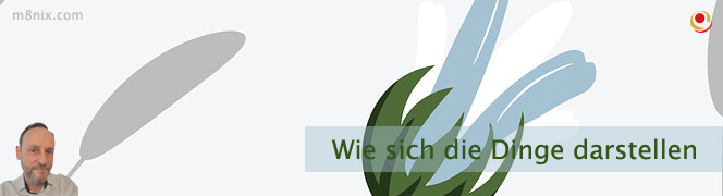 Wie sich die Dinge darstellen Wie sich die Dinge darstellen