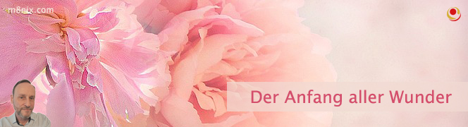 Der Anfang aller Wunder