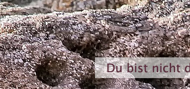 Du bist nicht der Denker