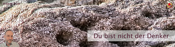 Du bist nicht der Denker Du bist nicht der Denker