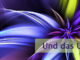 Und das Universum liefert