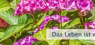Das Leben ist wundervoll
