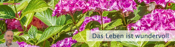 Das Leben ist wundervoll Das Leben ist wundervoll