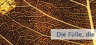 Die Fülle, die Du suchst