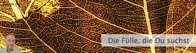 Heretic + Hexen – Versionshinweise: Endlich! Die Antworten, Die Du Suchst! - cuw3vgw