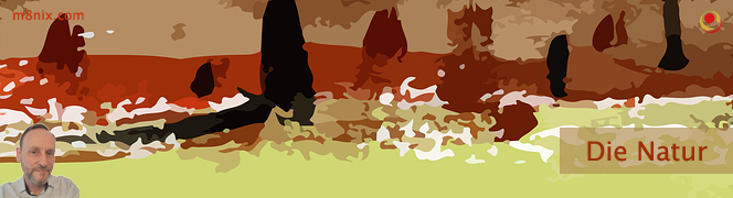 Die Natur Die Natur