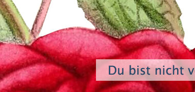 Du bist nicht verpflichtet