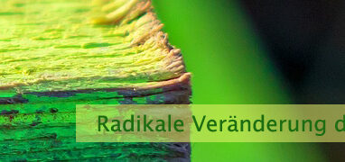 Radikale Veränderung des Lebens