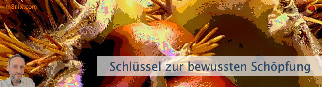 Schlüssel zur bewussten Schöpfung Schlüssel zur bewussten Schöpfung