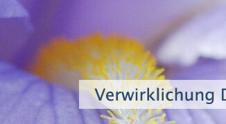 Verwirklichung Deines Ideals