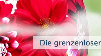 Die grenzenlosen Ressourcen