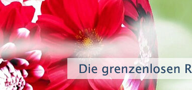 Die grenzenlosen Ressourcen