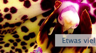 Etwas viel Mächtigeres