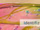 Identifiziere Dich mit Dir
