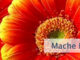 Mache Dir keine Sorgen
