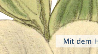 Mit dem Herzen sehen