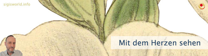 Mit dem Herzen sehen