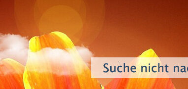Suche nicht nach Frieden