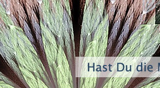 Hast Du die Macht in Dir?