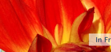 Im Frieden sein