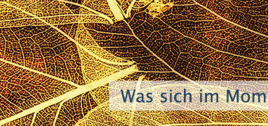Was sich im Moment ergibt