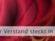 Der Verstand steckt in einem Dilemma