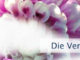 Die Verbindung trüben