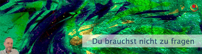 Du brauchst nicht zu fragen