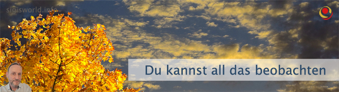 Du kannst all das beobachten