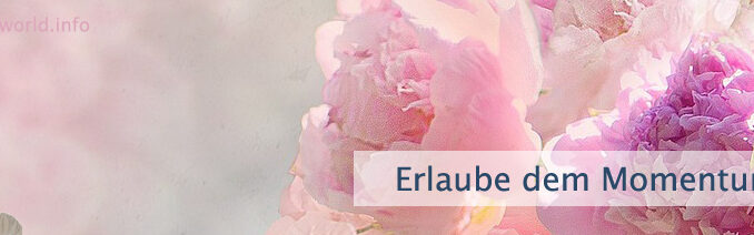 Erlaube dem Momentum