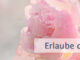 Erlaube dem Momentum