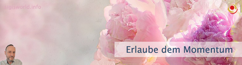 Erlaube dem Momentum
